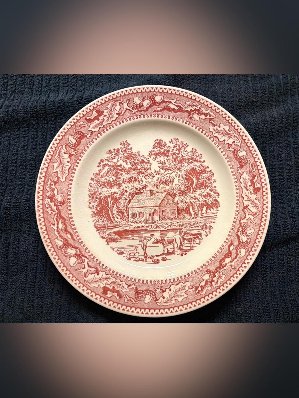 Vintage 1965 Royal China Memory Lane Royal Ironstone Dinner Plate 10"